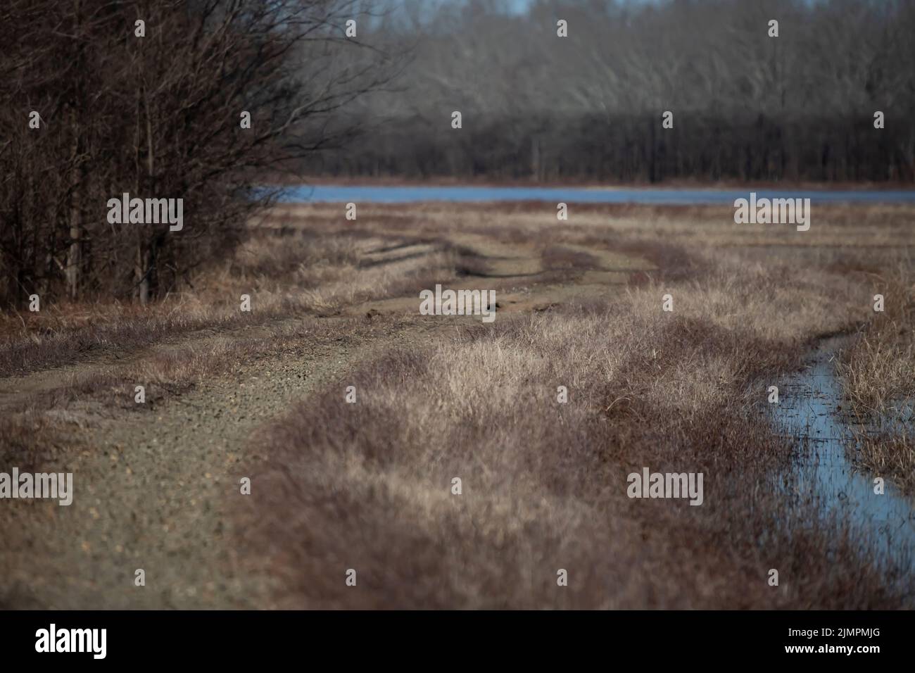 Schotterweg schlängelt sich entlang des Ufers eines Wasserweges Stockfoto