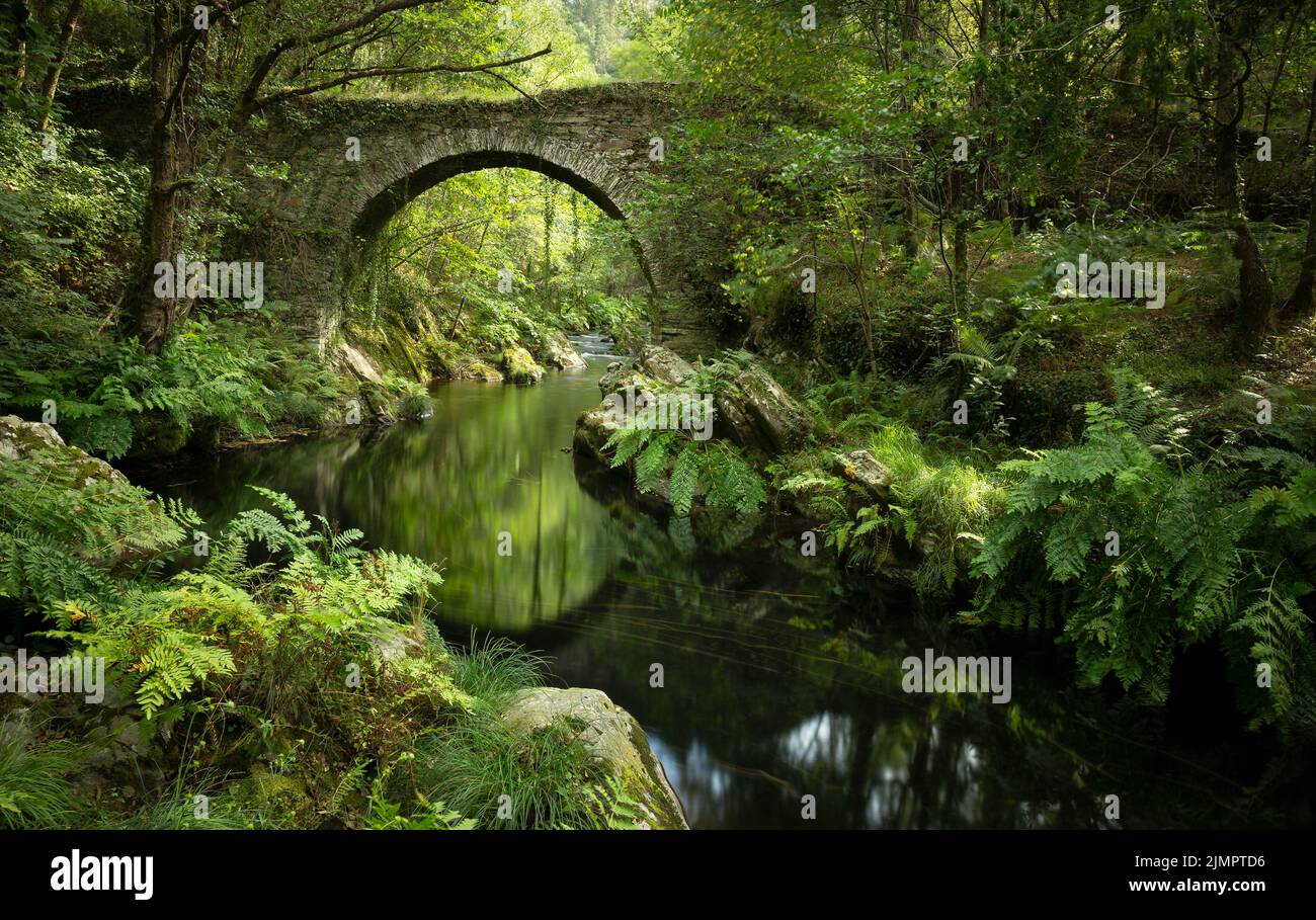 Alte römische Brücke über den Fluss Polea in Villayon, Asturien, Spanien. Naturlandschaft, ländlicher Tourismus. Stockfoto