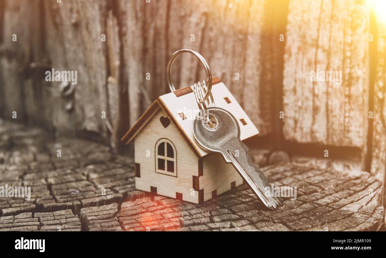 Bau von Holzhäusern. Umweltfreundliche Baustoffe. Stockfoto