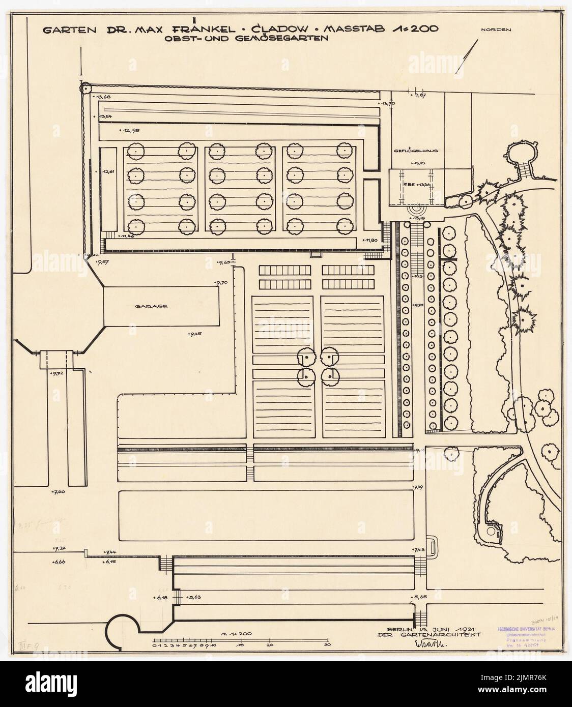 Barth Erwin (1880-1933), Fraenkel-Garten in Berlin-Kladow (06,1931): Entwurfsplan des mittleren Abschnitts als Obst- und Gemüsegarten, 1: 200, Anm. Tinte auf Transparent, 57,1 x 49,4 cm (inklusive Scankanten) Barth Erwin (1880-1933): Garten Fraenkel, Berlin-Kladow Stockfoto