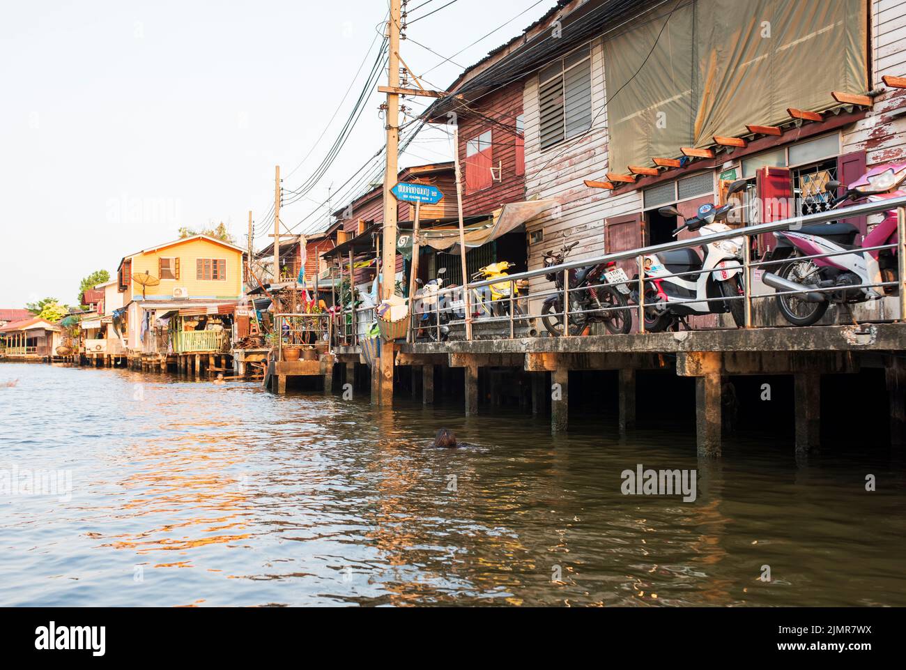 BANGKOK, THAILAND, 20. MÄRZ 2016, Chao Phraya River Canal. Traditionelle Kanalhäuser und Leben. Stockfoto