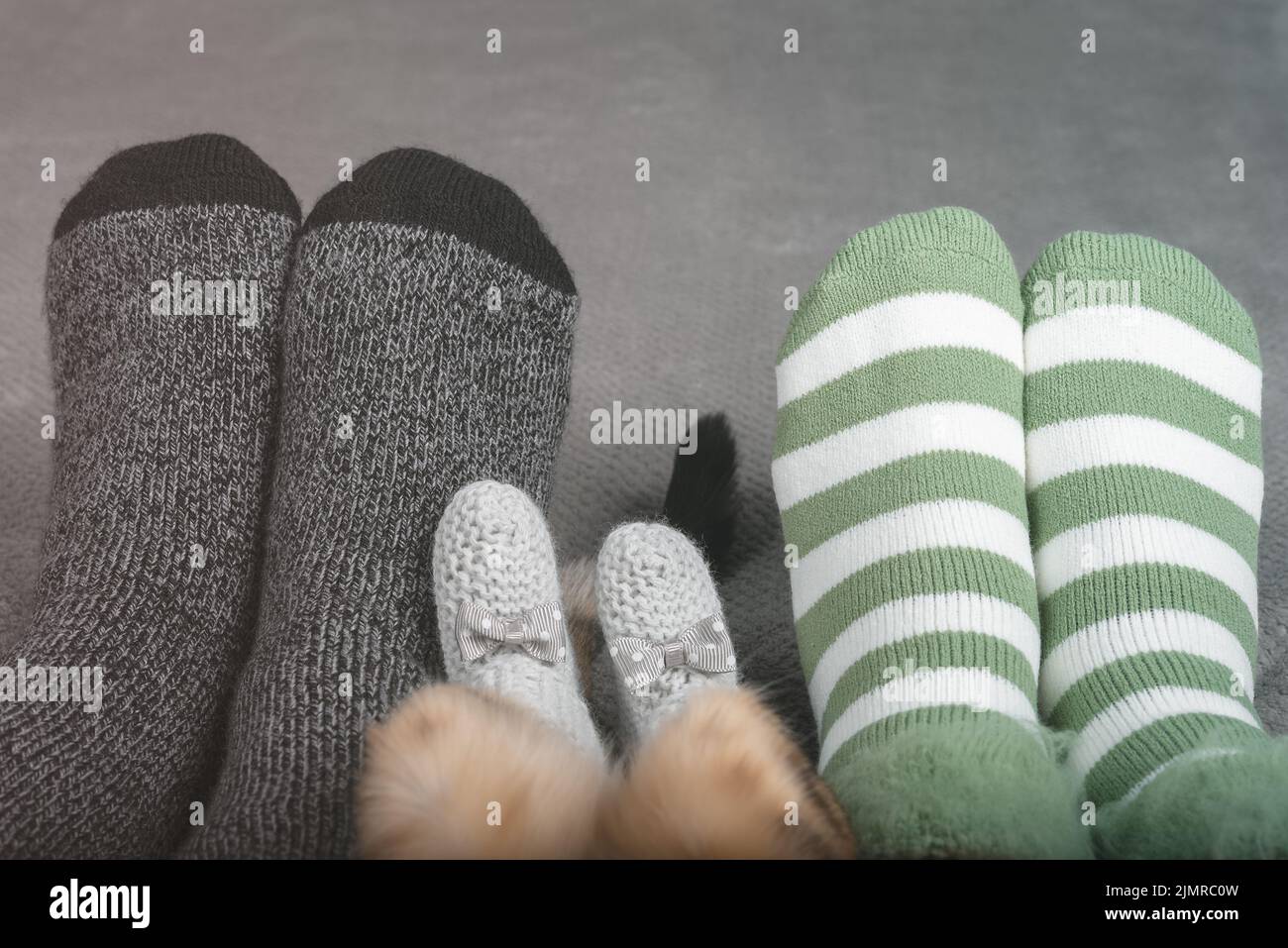 Die Beine einer Frau, eines Mannes und einer Katze in Socken in einem Zuhause. Stockfoto