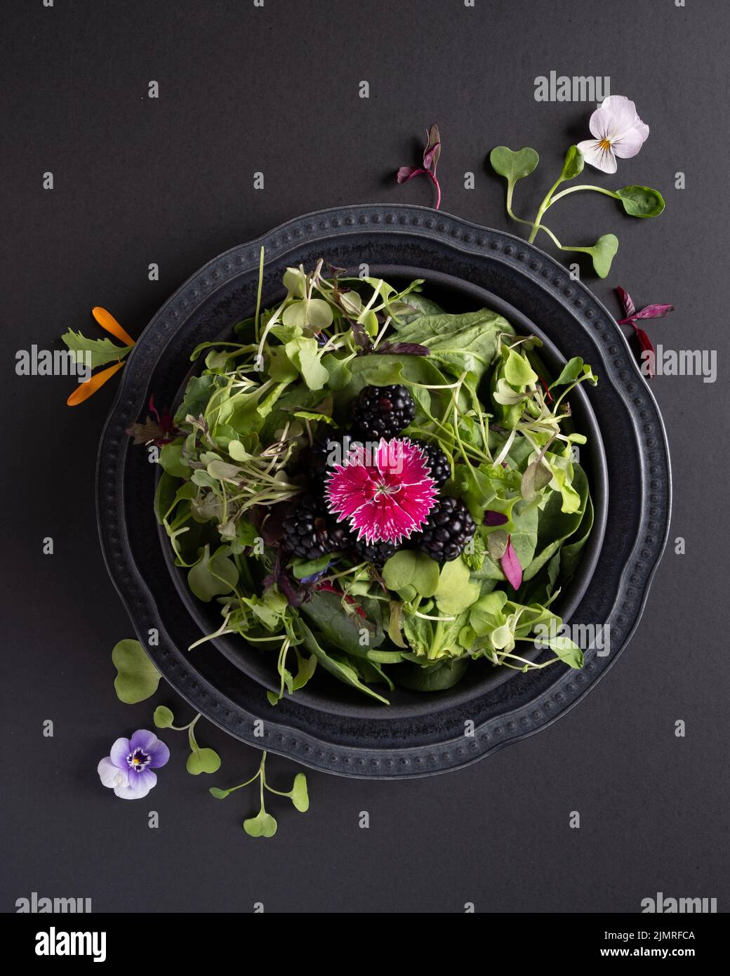 Essbare Blüten auf Salat Stockfoto