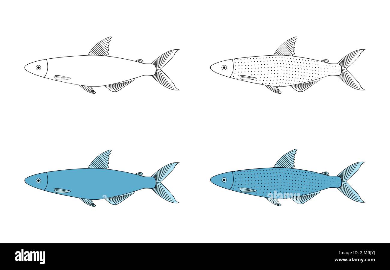 Alestes Fisch Doodle Vektor-Illustrator auf weißem Hintergrund isoliert. Stockfoto