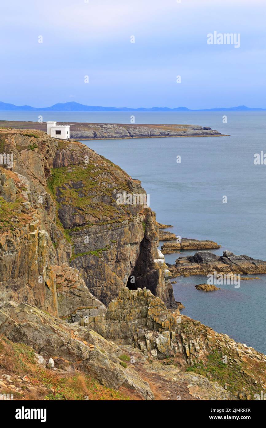 Ellin's Tower, South Stack, Ynys Lawd, Holyhead, Isle of Anglesey, Ynys Mon, Nordwales, Großbritannien. Stockfoto