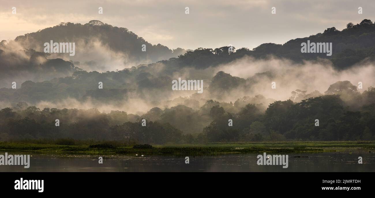 Panama-Landschaft mit Panoramablick auf feuchten und nebligen Regenwald bei Sonnenaufgang im Soberania-Nationalpark, Republik Panama, Mittelamerika. Stockfoto