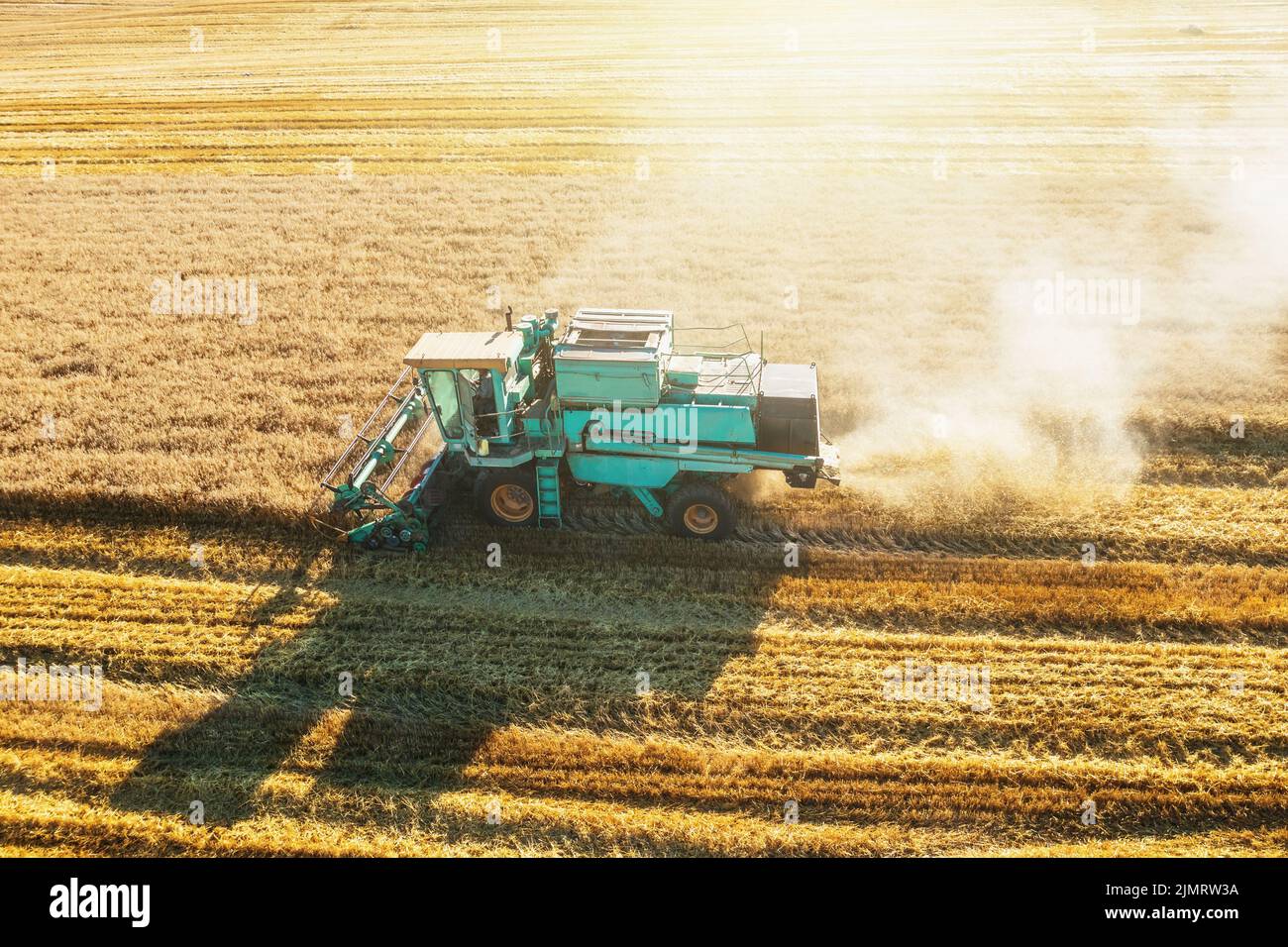 Mähdrescher erntet reifen Weizen Luftbild. Agrarfeld und landwirtschaftliches Konzept. Stockfoto