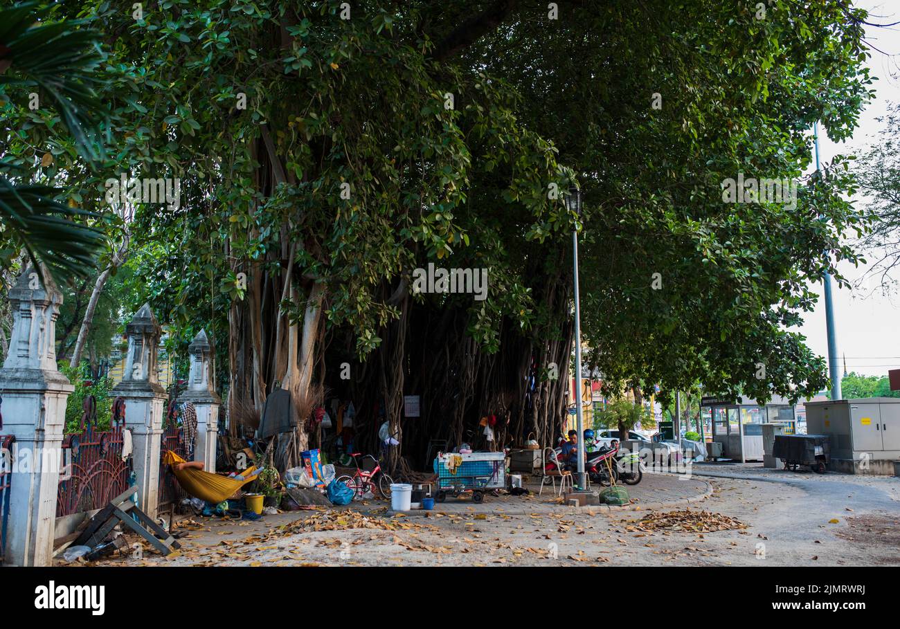 BANGKOK, THAILAND, 20. MÄRZ 2016; farbenfrohe Straßen Thailands. Menschen, die unter tropischem Baum leben. Stockfoto