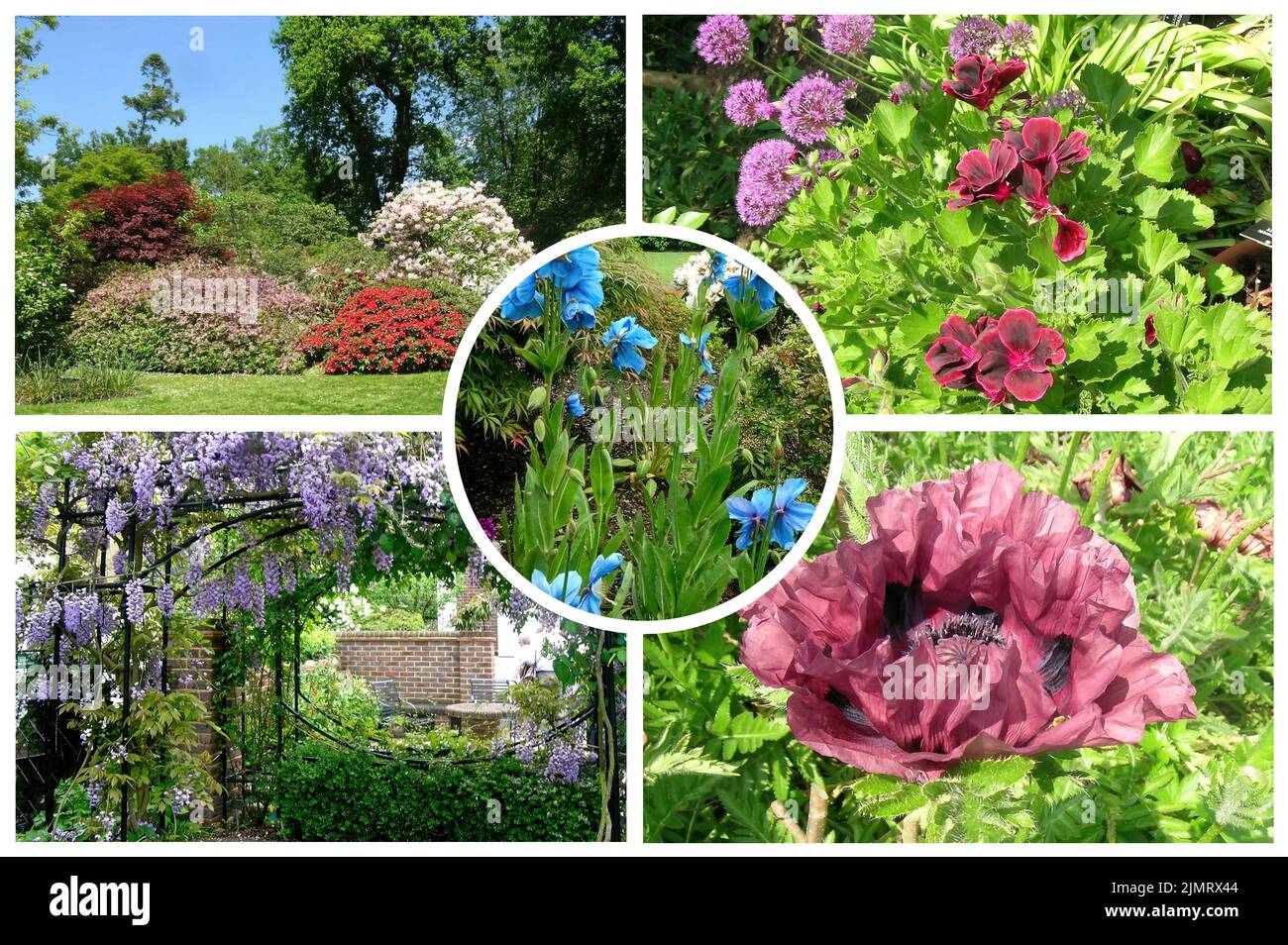 Der Elizabethan-Turm in Sissinghurst im Sommer, einer der berühmtesten Gärten Englands. Es ist nun im Besitz des National Trust und wird von ihm verwaltet Stockfoto