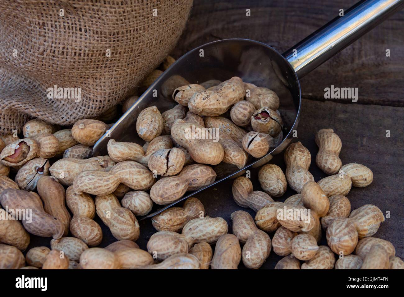Beutel und Schaufel Eimer mit großen Erdnüssen Stockfoto