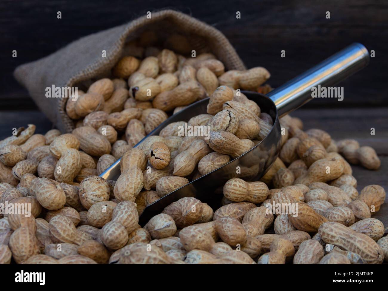 Beutel und Schaufel Eimer mit großen Erdnüssen Stockfoto