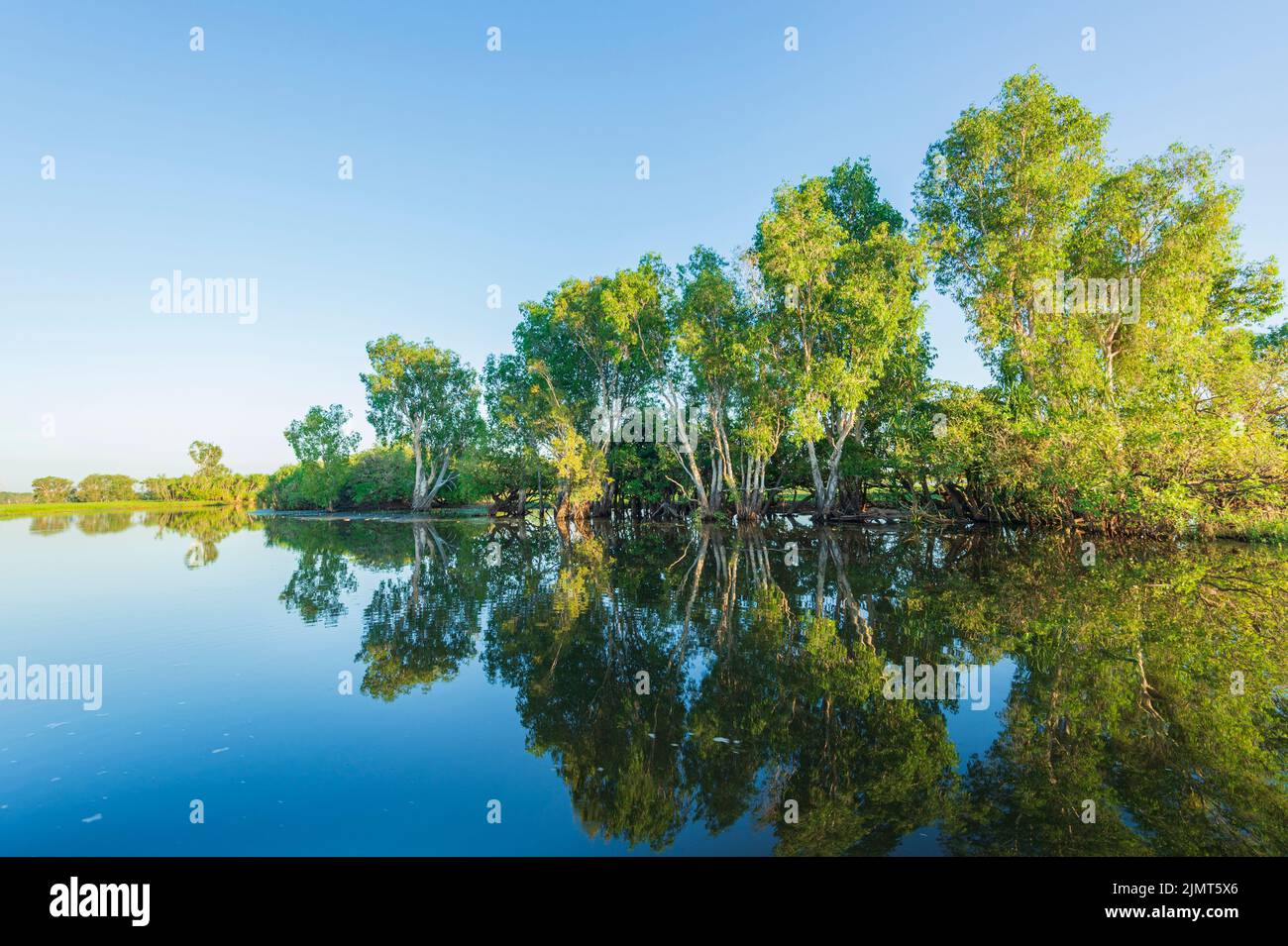 Bäume spiegeln sich im Wasser bei Sonnenaufgang, Yellow Waters Billabong, Kakadu National Park, Northern Territory, Australien Stockfoto