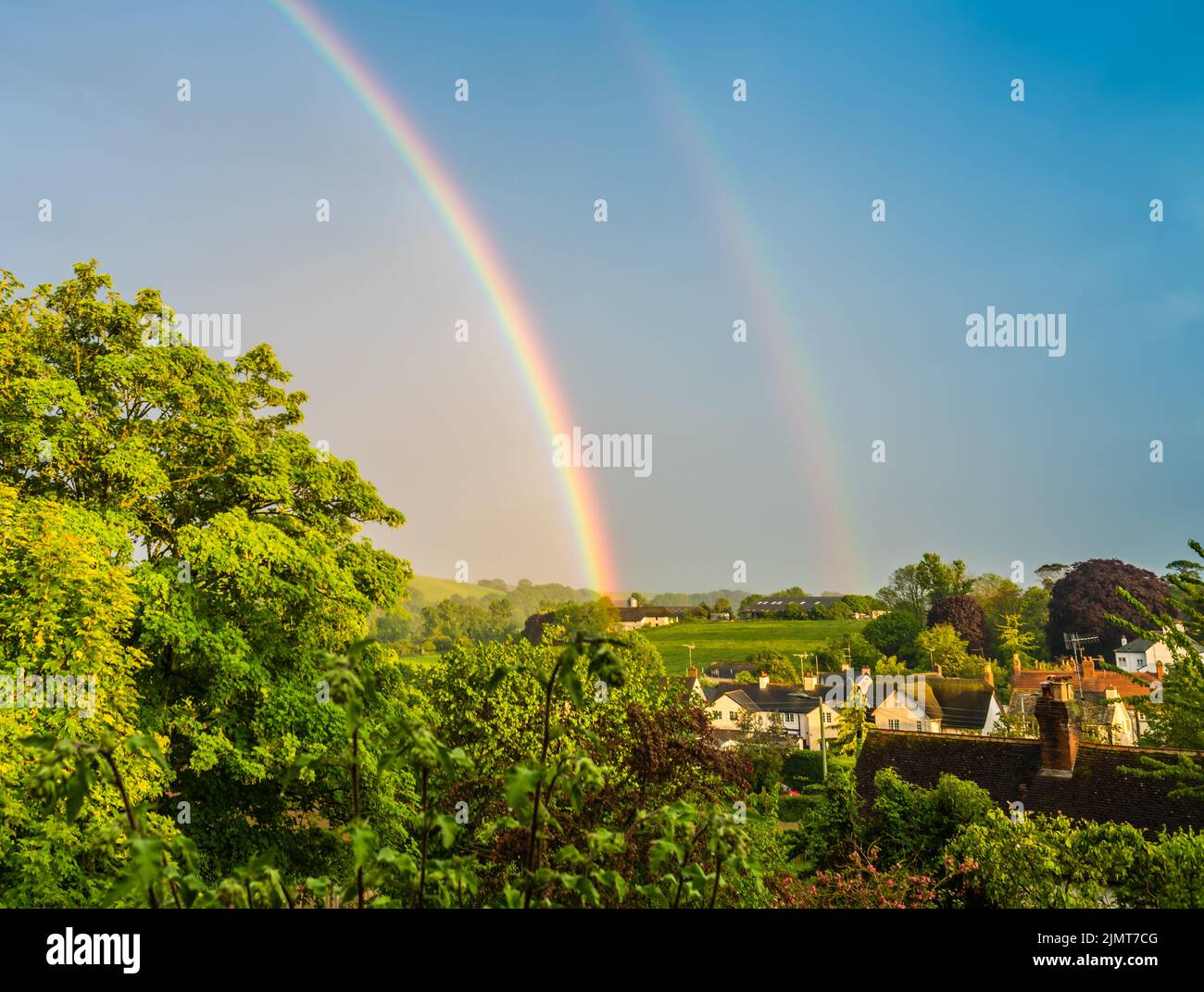 Ein Goldbrock auf der Pulhayes Farm, East Budleigh. Ein doppelter Regenbogen Stockfoto