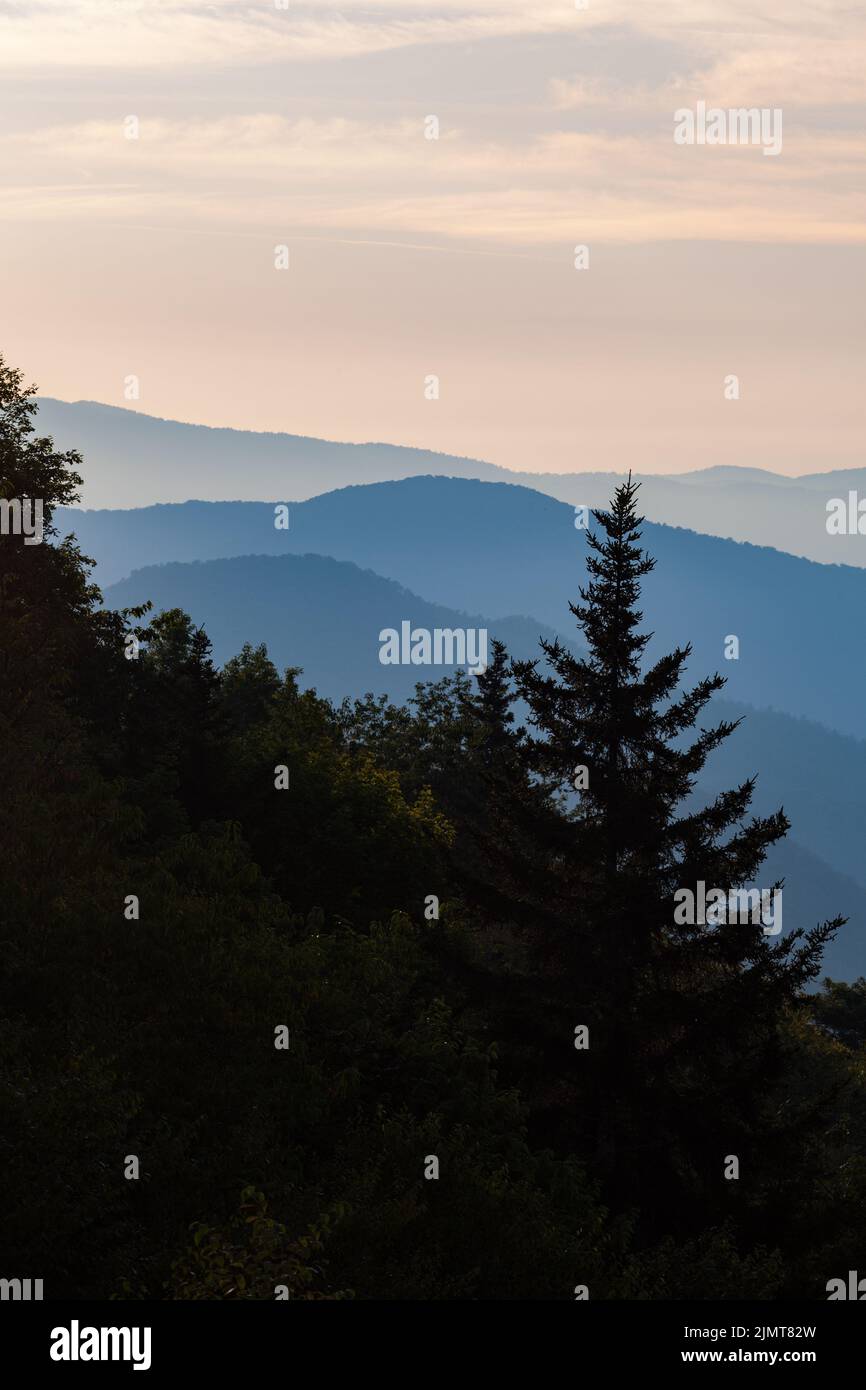 Neu entdeckte Gap Area in den Great Smoky Mountains an der Grenze zwischen North Carolina und Tennessee Stockfoto