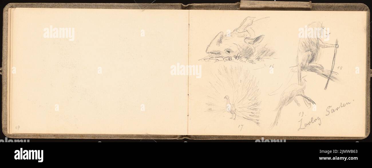 Michel Paul sen. (1877-1938), Skizzenbuch. 1896. Zeichnungen des Gymnasiums von 8 Tagen in Berlin vom 10.. Juli bis 17. Juli 1896, u. Besuch der Messe und Potsdam (07,1896): Nashorn, Affe, Pfau im Zoo. Bleistift auf Papier, 12,5 x 32,7 cm (inklusive Scankanten) Michel Paul sen. (1877-1938): Skizzenbuch. 1896. Zeichnungen des Oberschülers aus 8 Tagen in Berlin vom 10,7. Bis 17,7.1896, u. a. Besuch der Gewerbeausstellung und Potsdam Stockfoto