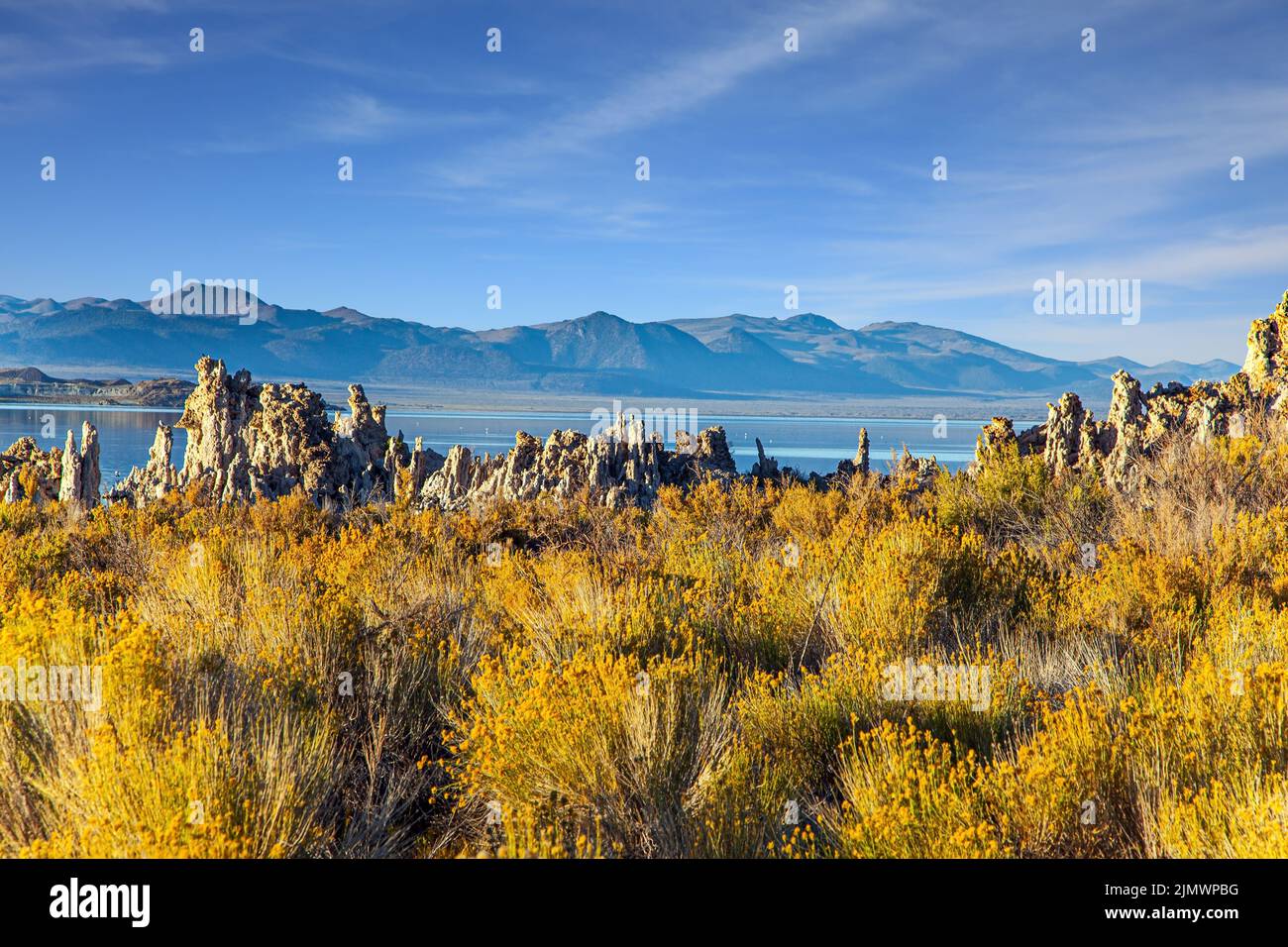 Mono Lake Shores Stockfoto