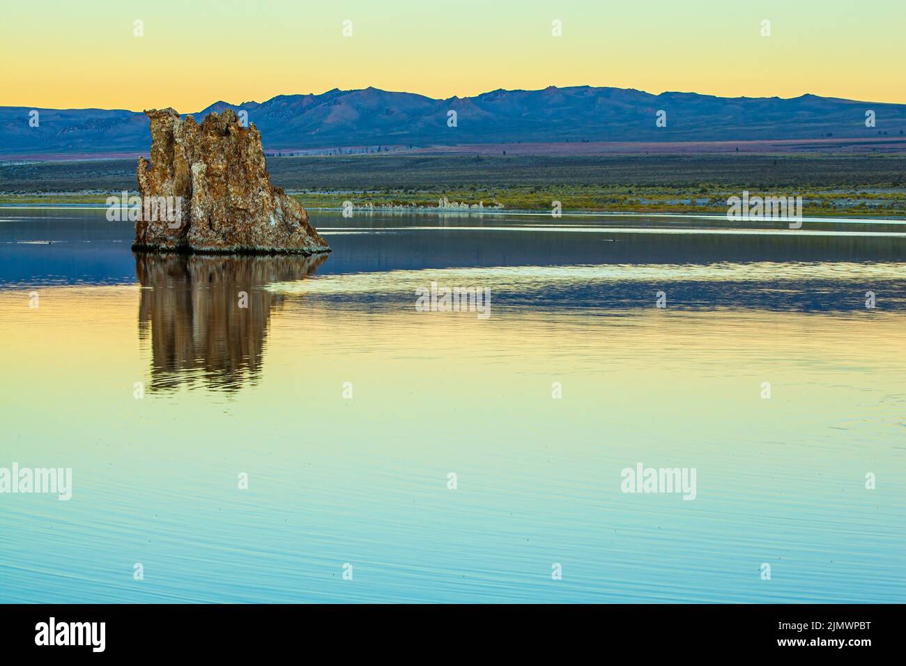 Magische Reflexionen von Tuffausreitern Stockfoto