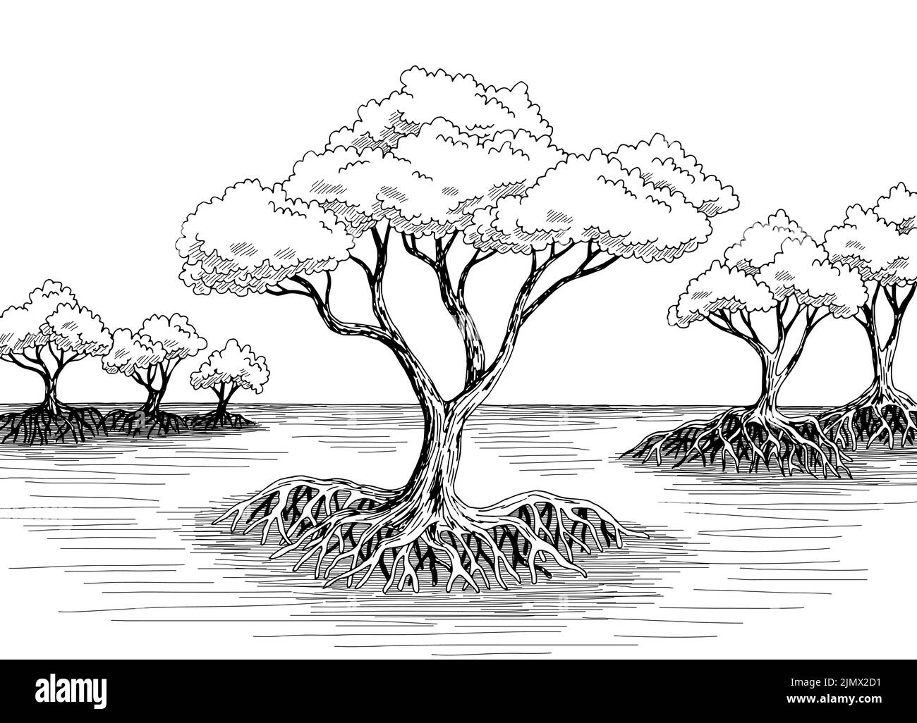 Mangroven Dschungel Wald Fluss Grafik schwarz weiß Landschaft Skizze Illustration Vektor Stock Vektor