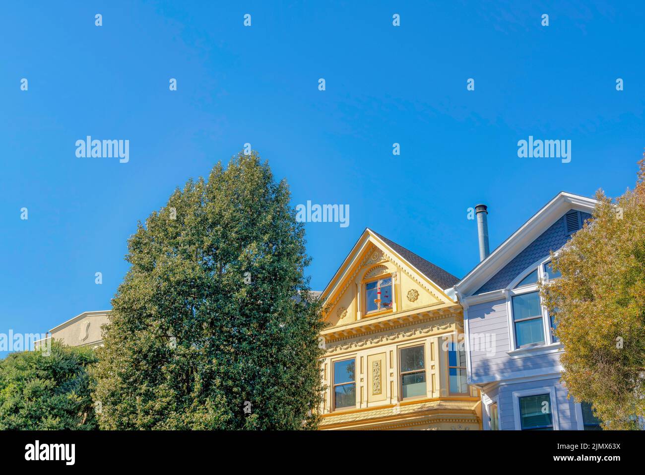 Große Bäume vor den gelben und violetten Häusern in San Francisco, Kalifornien. Auf der linken Seite befindet sich ein gelbes Haus mit dekorativen Gebissen und Sonnenaufgänge Stockfoto