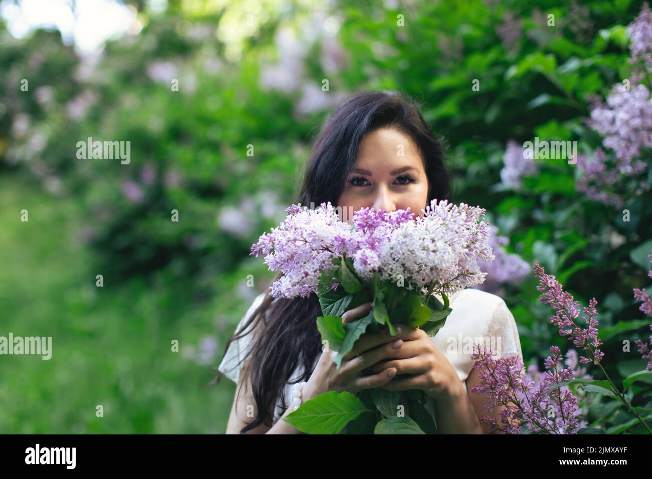 Porträt einer attraktiven Frau, umgeben von Fliederbüschen. Frühling und Sommer, saisonale Fotos. Vorderansicht. Stockfoto