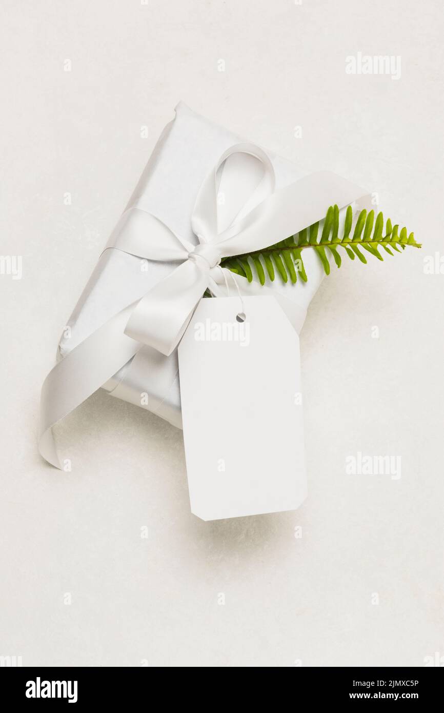 Nahaufnahme Geschenk Feld leer Tag grün Blatt isoliert weißen Hintergrund Stockfoto