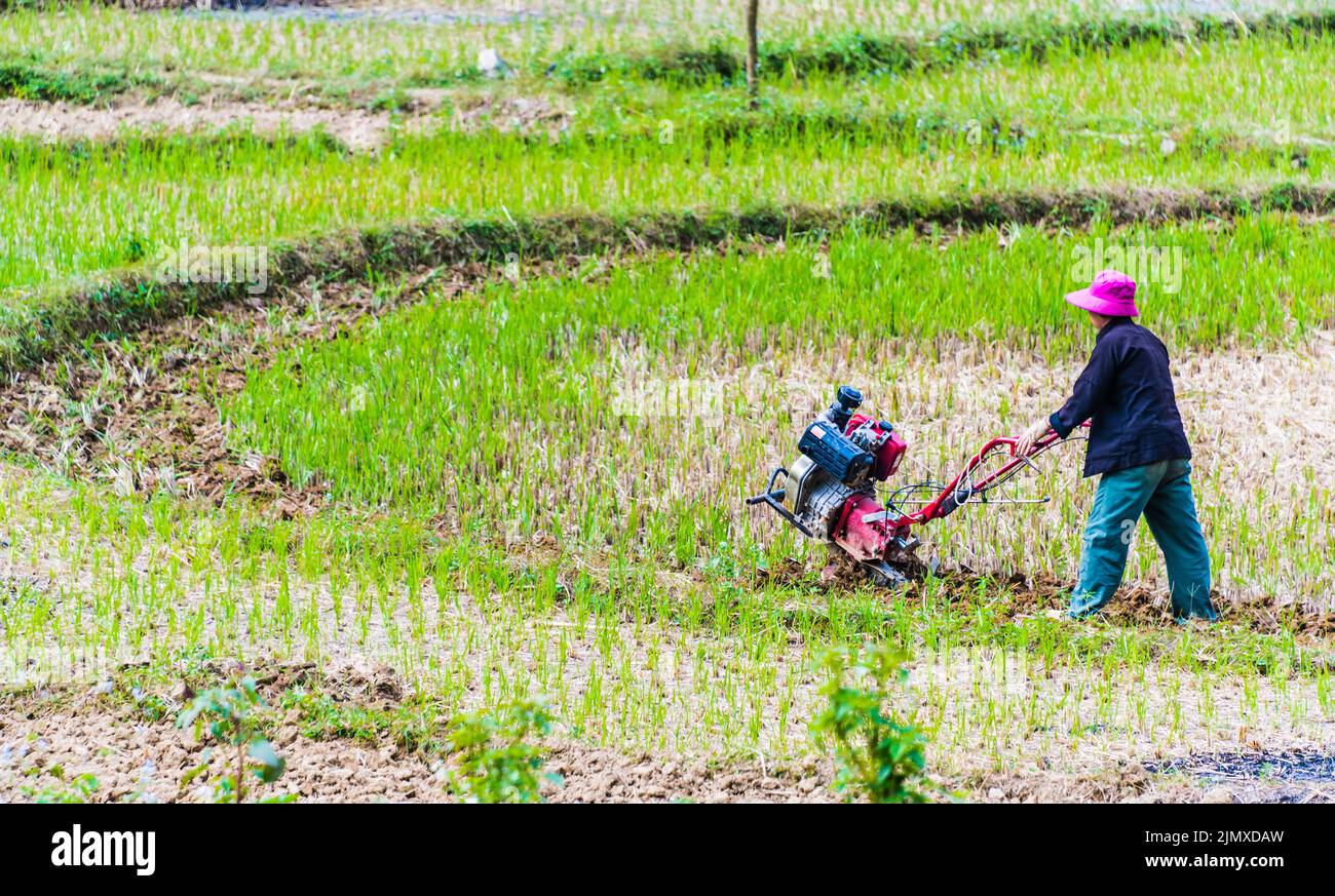 Autarke arbeitsintensive Landwirtschaft in der Provinz Ha Giang Stockfoto