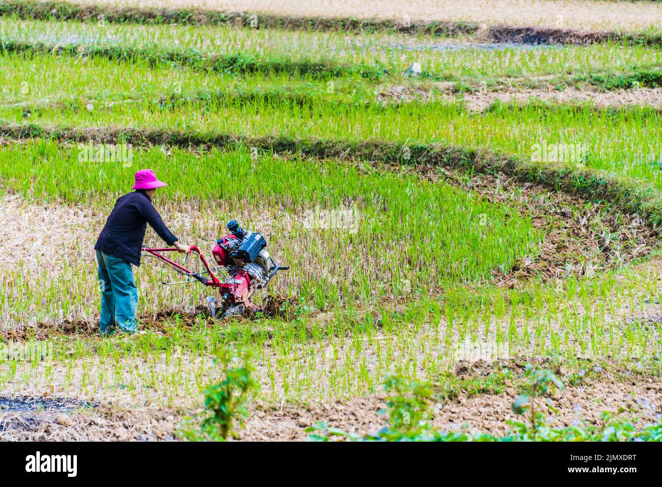 Autarke arbeitsintensive Landwirtschaft in der Provinz Ha Giang Stockfoto