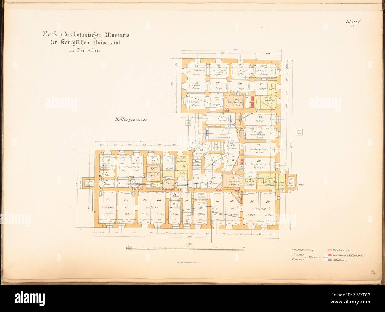 Knorr Friedrich, Universität, Breslau. Botanisches Museum (ca. 1889): Grundriß KG 1: 100. Lithographie auf Papier, 51 x 68,8 cm (inklusive Scankanten) Knorr Friedrich : Universität Breslau. Botanisches Museum Stockfoto