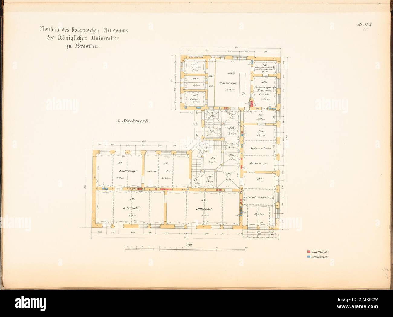 Knorr Friedrich, Universität, Breslau. Botanisches Museum (ca. 1889): Grundriß 1: 100. Lithographie auf Papier, 50,6 x 68,7 cm (inklusive Scankanten) Knorr Friedrich : Universität Breslau. Botanisches Museum Stockfoto