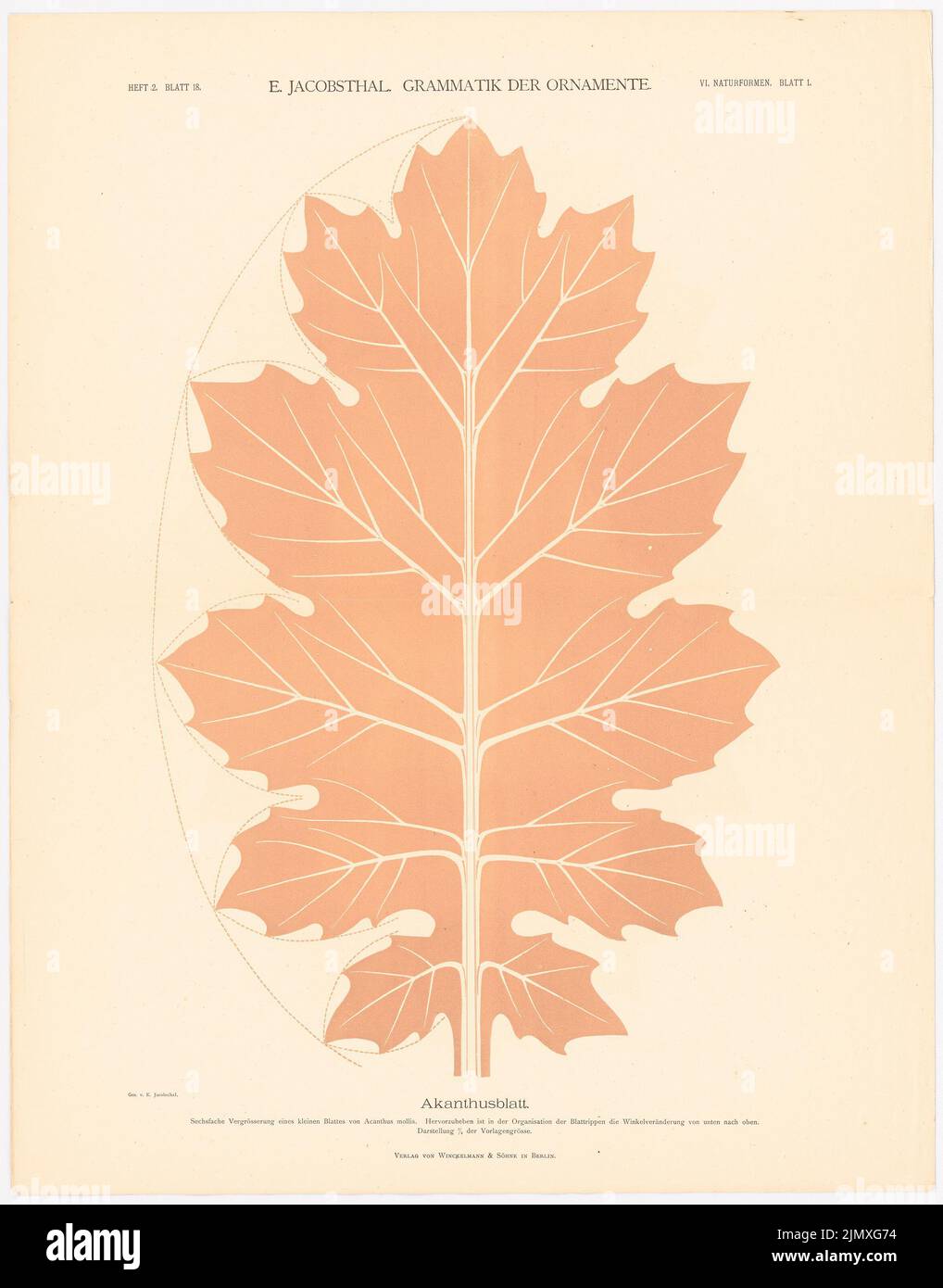 Jacobsthal Johann Eduard (1839-1902), Grammatik der Ornamente (ohne dat.): Akanthusblatt, Heft 2. Blatt 18 .. Lithographie auf Papier, 71,7 x 56,2 cm (inkl. Scankanten) Jacobsthal Johann Eduard (1839-1902): Grammatik der Ornamente Stockfoto