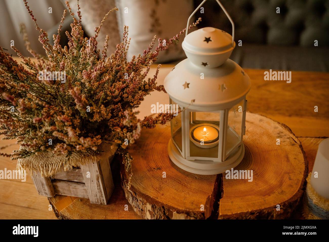 Rosa Heather im Topf, Geschenkbox mit Spitze Bow, Chrysantheme, Kerzen, vintage Fensterläden auf Hintergrund Stockfoto