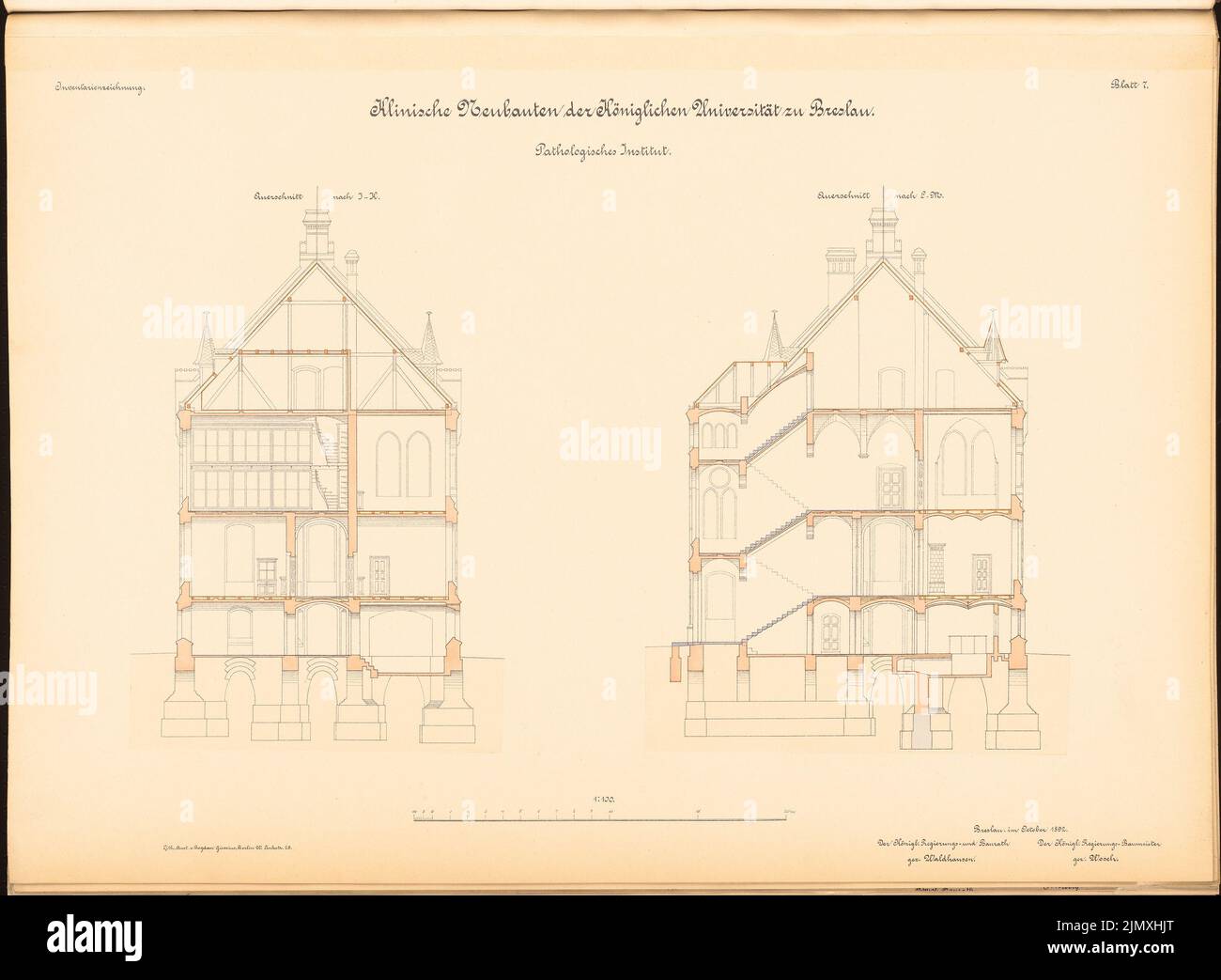 Diestel Georg (1854-1926), Universität, Breslau. Medizinische Institute in der Maxstraße. Pathologisches Institut (1890-1892): 2 Querschnitte 1: 100. Lithographie auf Papier, 50,3 x 68,6 cm (einschließlich Scankanten) Stockfoto