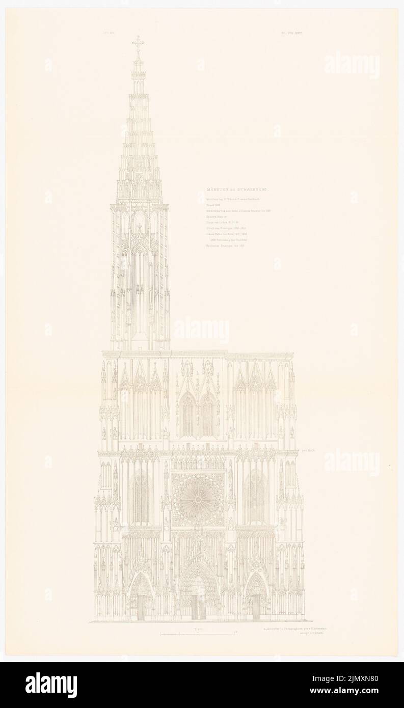 N.N., Strasburger Münster. (Aus: Gotische Architektur in Deutschland, Hrsg. v. Character output d. Stud. TH Berlin, 1875) (1875-1875): Aussicht. Druck auf Papier, 88 x 53,7 cm (einschließlich Scankanten) Stockfoto