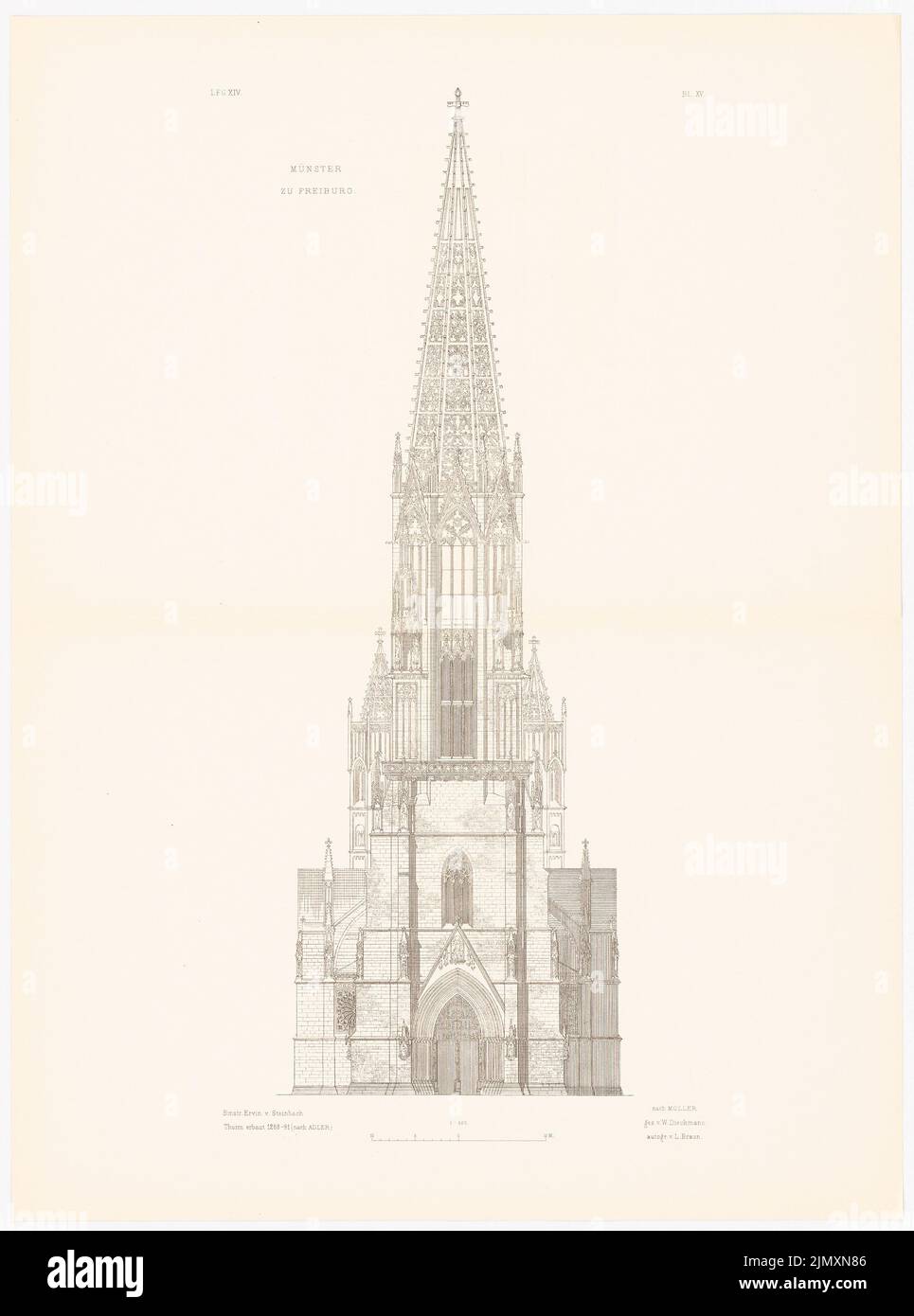 N.N., Freiburger Münster. (Aus: Gotische Architektur in Deutschland, Hrsg. v. Character output d. Stud. TH Berlin, 1875) (1875-1875): Aussicht. Drucken auf Papier, 72 x 53,5 cm (einschließlich Scankanten) Stockfoto