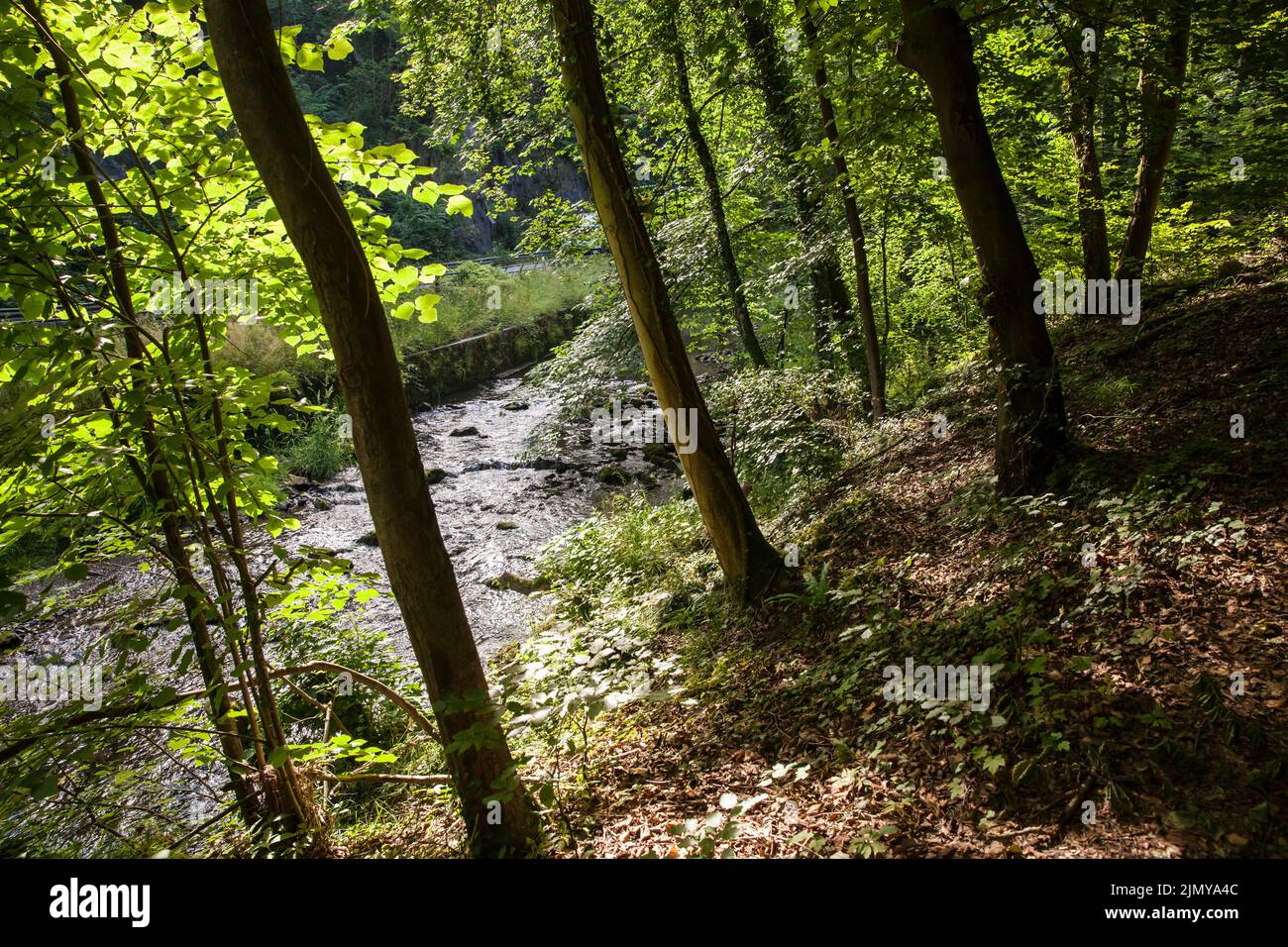 Der Fluss Hoenne zwischen Hemer und Balve, Hönnertal, Sauerland, Nordrhein-Westfalen, Deutschland. Die Hoenne zwischen Hemer und Balve, Hoenn Stockfoto