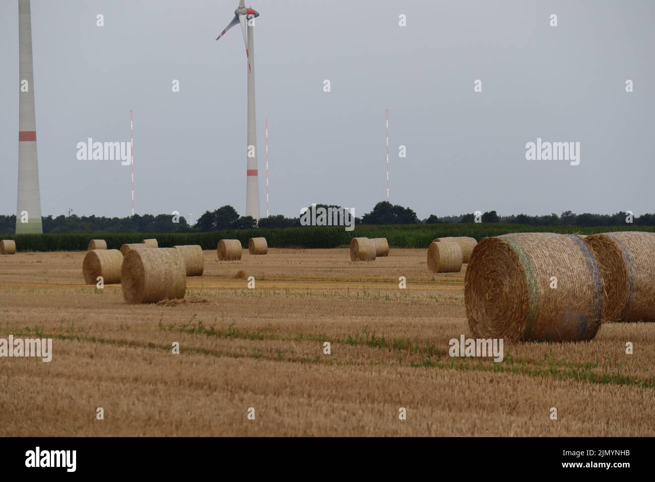 Ernte Stockfoto