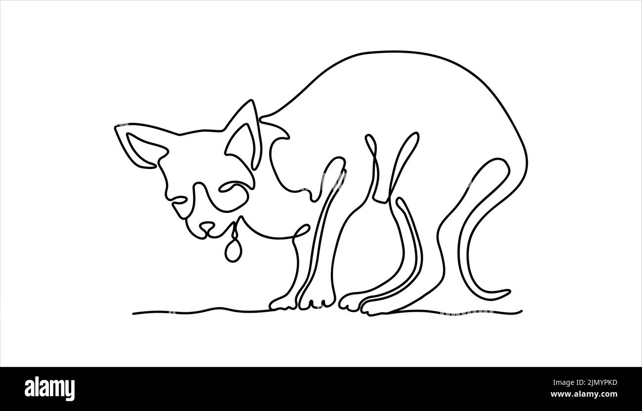 Haustier mit Medaillon. Line Art Katze mit einem Medaillon auf weißem Hintergrund. Lustige Kunst mit einem Haustier. Vektorgrafik. Stock Vektor