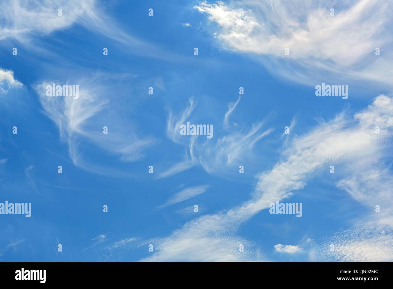 Cirrus Wolken am blauen Himmel, Hintergrund für Natur-, Wetter- und Klimathemen, großer Kopierraum Stockfoto