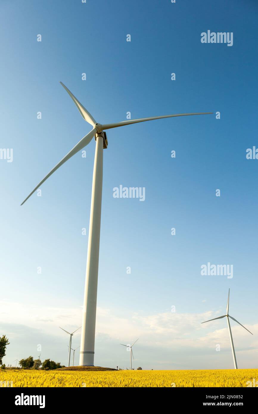 Landsape mit Windmühlen auf Weizenfeld und blauem Himmel Stockfoto