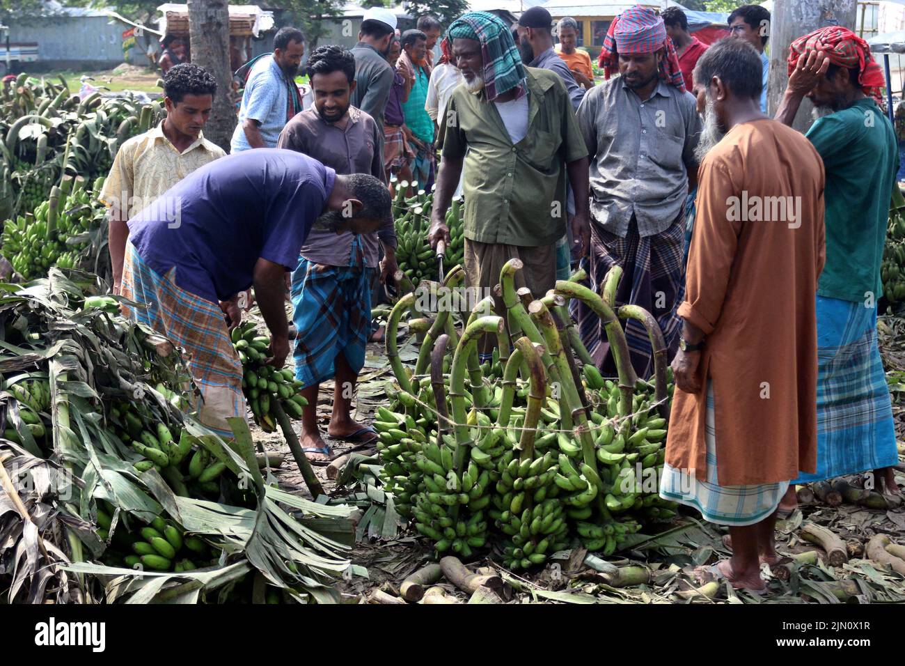 Der größte traditionelle Bananenmarkt in Bangladesch im Madhupur des Bezirks Tangail. Bauern verkaufen diese beliebten Früchte direkt an Großhändler. Bananen im Wert von 8 Lakhs bis 10 Lakhs werden täglich verkauft. 05. August 2022. Foto von Habibur Rahman/ABACAPRESS.COM Stockfoto
