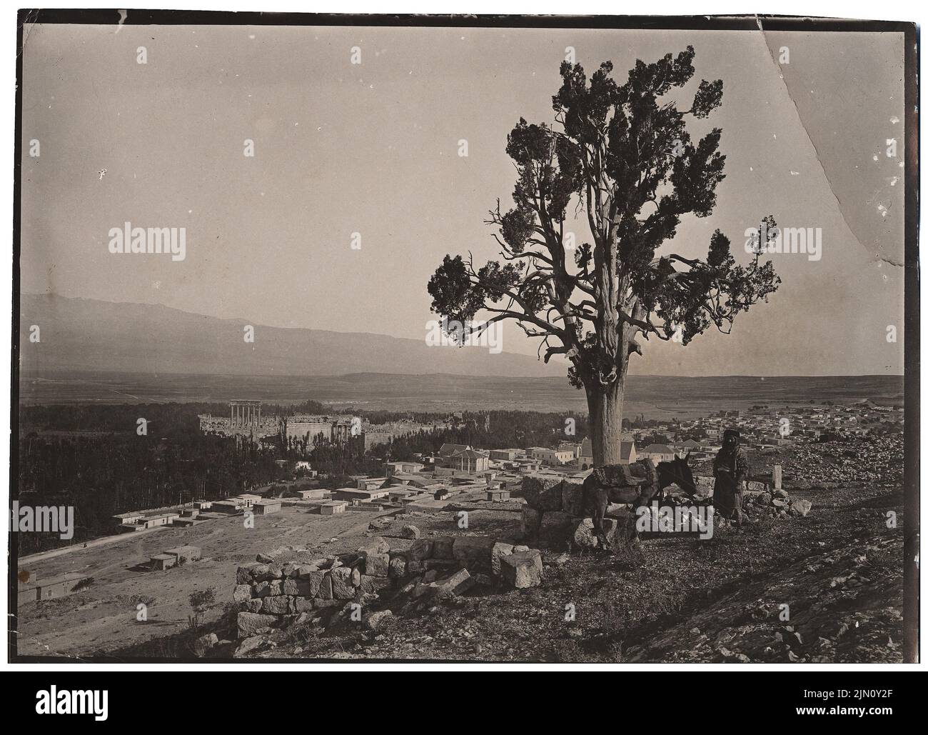 Unbekannter Fotograf, Landschaft mit Ruinen in Baalbek (ohne Datum): Landschaftsdarstellung. Foto, 13,1 x 18,1 cm (einschließlich Scankanten) unbekannt. Fotograf : Landschaft mit Ruinen in Baalbek (ohne DAT.) Stockfoto