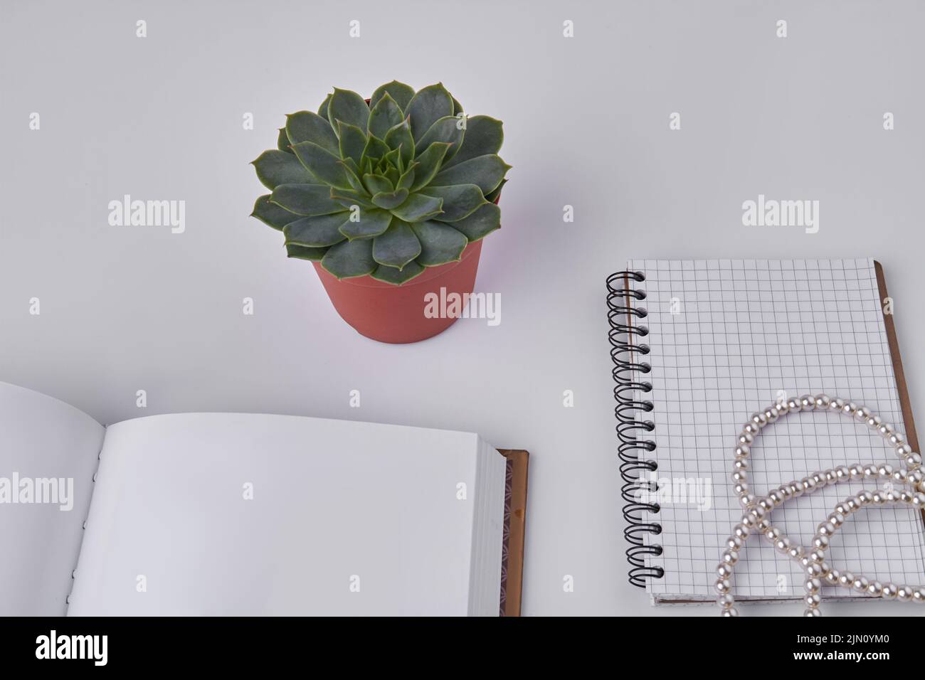 Draufsicht leere offene Notizbücher mit Zimmerpflanze. Perlenkette auf Notizblock. Stockfoto