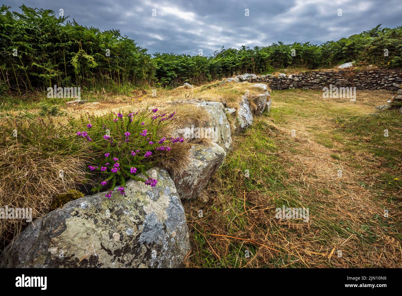 Die Überreste eines Hüttenkreises aus der Eisenzeit in der Nähe des Holyhead Mountain auf Holy Island, Anglesey, Nordwales Stockfoto