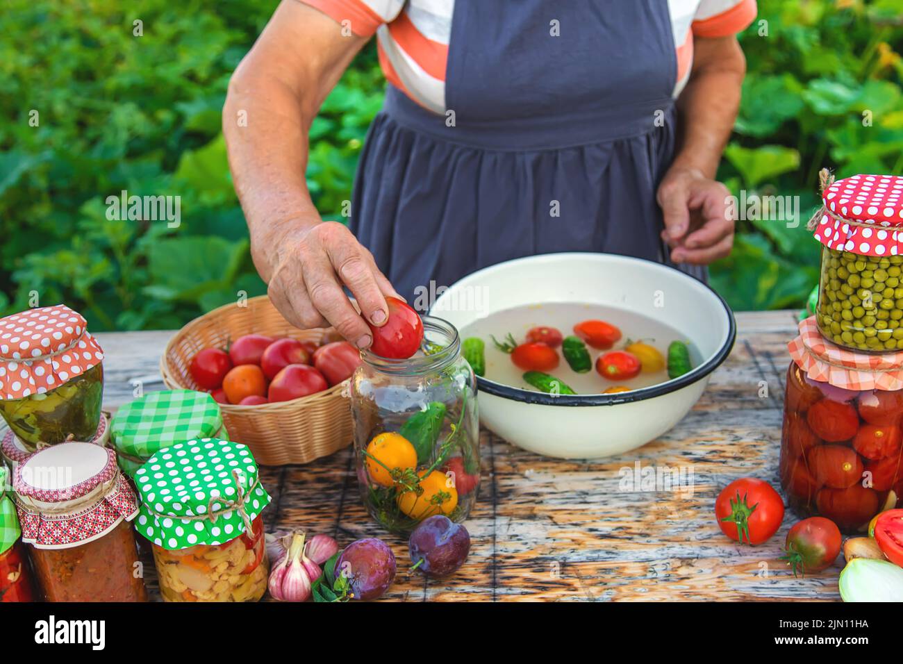 Ältere Frau, die Gemüse in Gläsern konservieren. Selektiver Fokus. Essen. Stockfoto