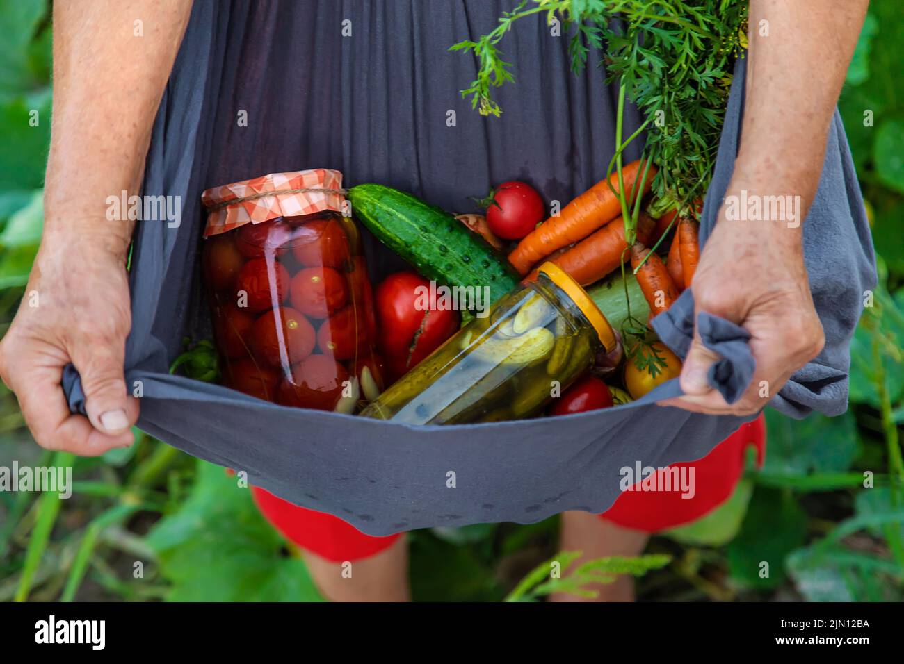 Ältere Frau, die Gemüse in Gläsern konservieren. Selektiver Fokus. Essen. Stockfoto