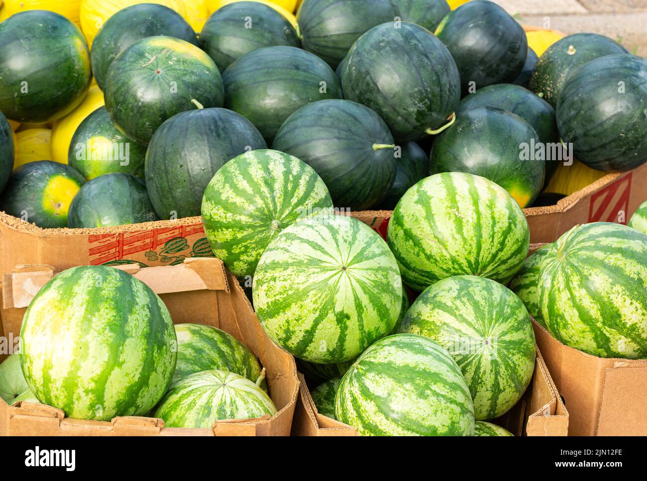 Grüne und gestreifte Wassermelonen in Kartons auf einem lokalen Markt Stockfoto