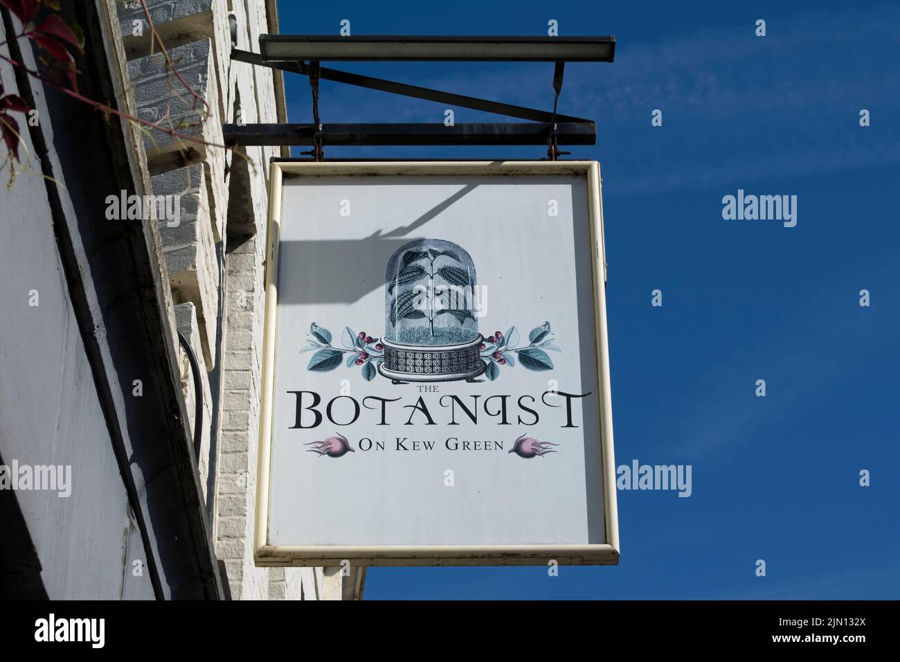 britisches Pub-Schild für den Botaniker, auf kew Green neben kew Gardens, london, england Stockfoto