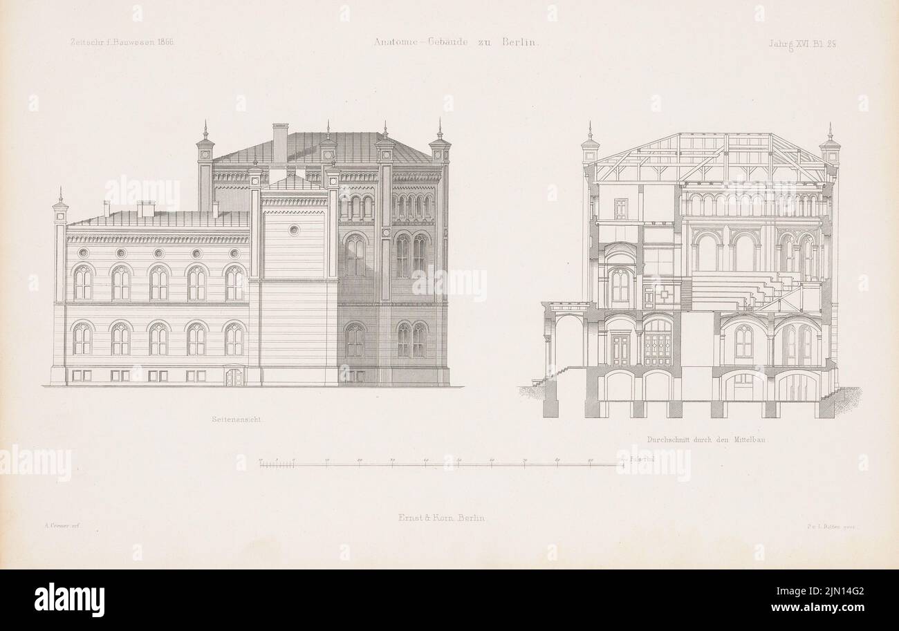 Cremer Albert Friedrich (1824-1891), Anatomiegebäude, Berlin. (Aus: Atlas zur Zeitschrift für Bauwesen, hrsg. v. G. Erbkam, Jg. 16, 1866.) (1866-1866): Seitenansicht, Schnitt durch das mittlere Gebäude. Stich auf Papier, 27,9 x 44 cm (inklusive Scan-Kanten) Cremer Albert Friedrich (1824-1891): Friedrich-Wilhelms-Universität (Humboldt-Universität) Berlin. Anatomisches Institut. (Aus: Atlas zur Zeitschrift für Bauwesen, hrsg. v. G. Erbkam, Jg. 16, 1866) Stockfoto