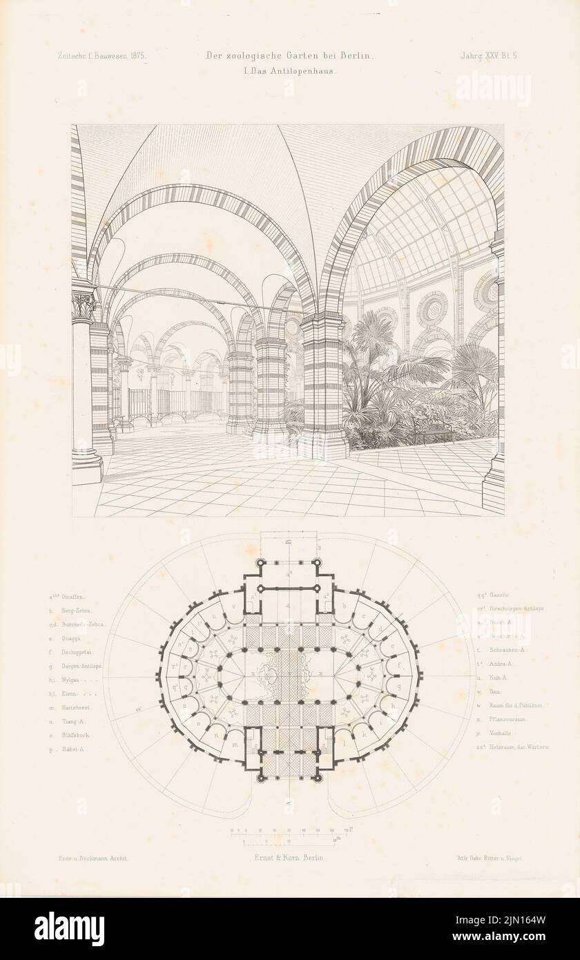 Ende & Böckmann, Zoologischer Garten, Berlin. (Aus: Atlas zur Zeitschrift für Bauwesen, hrsg. v. G. Erbkam, Jg. 25, 1875.) (1875-1875): Grundriß, perspektivische Innenansicht Antelopenhaus. Stich auf Papier, 45,5 x 29,4 cm (inklusive Scan-Kanten) Ende & Böckmann : Zoologischer Garten, Berlin. Antilopenhaus. (Aus: Atlas zur Zeitschrift für Bauwesen, hrsg. v. G. Erbkam, Jg. 25, 1875) Stockfoto