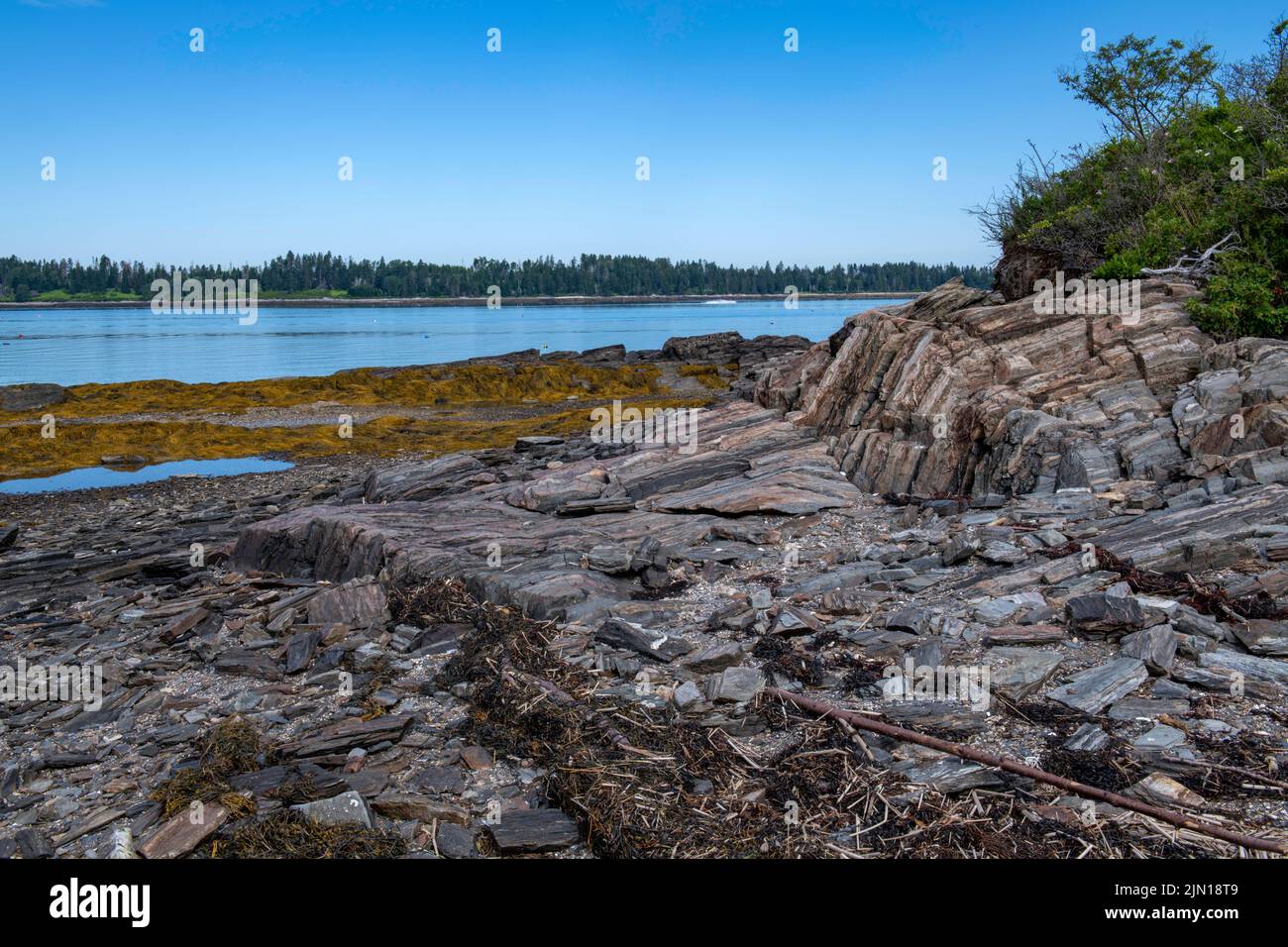 3. Juli 2022. Barnes Island bei Ebbe. Whaleboat Insel in der Ferne. Stockfoto